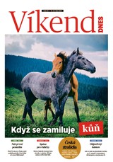 E-magazín Víkend DNES Střední Čechy - 19.10.2024 - MAFRA, a.s.