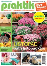 E-magazín PRAKTIK & příloha Byt magazín 11/2024 - Pražská vydavatelská společnost