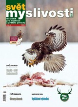 E-magazín Svět myslivosti - 12/2024 - Lesnická práce