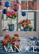 E-magazín DOMA DNES - 11.12.2024 - MAFRA, a.s.