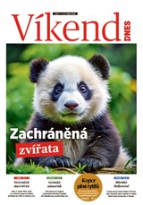 E-magazín Víkend DNES Střední Čechy - 04.01.2025 - MAFRA, a.s.