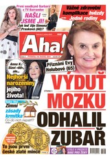 E-magazín AHA! - 04.01.2025 - CZECH NEWS CENTER a. s.