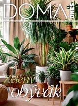 E-magazín DOMA DNES - 29.01.2025 - MAFRA, a.s.