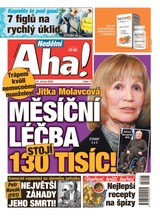 E-magazín NEDĚLNÍ AHA! - 16.02.2025 - CZECH NEWS CENTER a. s.