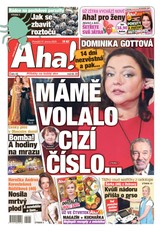 E-magazín AHA! - 17.02.2025 - CZECH NEWS CENTER a. s.