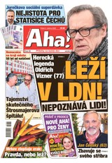 E-magazín AHA! - 04.04.2025 - CZECH NEWS CENTER a. s.