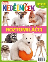 CZECH NEWS CENTER a. s.