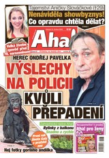 E-magazín AHA! - 12.04.2025 - CZECH NEWS CENTER a. s.