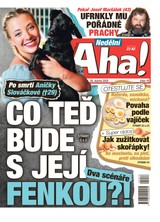 E-magazín NEDĚLNÍ AHA! - 20.04.2025 - CZECH NEWS CENTER a. s.