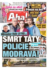 E-magazín AHA! - 27.05.2025 - CZECH NEWS CENTER a. s.