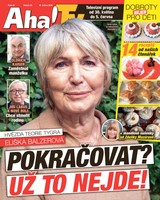E-magazín AHA! Tv - 29.05.2025 - CZECH NEWS CENTER a. s.