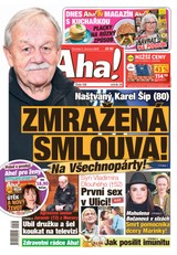 E-magazín AHA! - 05.06.2025 - CZECH NEWS CENTER a. s.