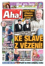 E-magazín AHA! - 19.08.2025 - CZECH NEWS CENTER a. s.