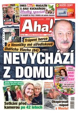 E-magazín AHA! - 21.08.2025 - CZECH NEWS CENTER a. s.