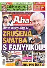 E-magazín AHA! - 28.08.2025 - CZECH NEWS CENTER a. s.