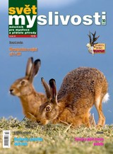 E-magazín svt myslivosti 2025 10 - Lesnická práce