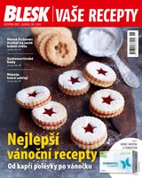 E-magazín BLESK VAŠE RECEPTY - 11/2025 - CZECH NEWS CENTER a. s.