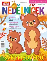 CZECH NEWS CENTER a. s.