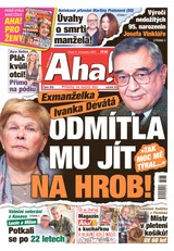 E-magazín AHA! - 11.11.2025 - CZECH NEWS CENTER a. s.