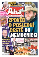 E-magazín AHA! - 22.11.2025 - CZECH NEWS CENTER a. s.