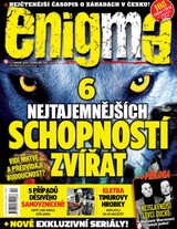 Enigma 2/2026