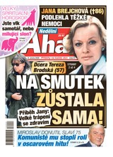 E-magazín NEDĚLNÍ AHA! - 08.02.2026 - CZECH NEWS CENTER a. s.