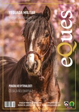 E-magazín Eques marec - Svět Kreativity