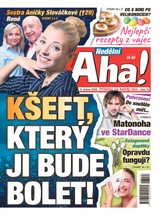 E-magazín NEDĚLNÍ AHA! - 05.04.2026 - CZECH NEWS CENTER a. s.