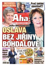 E-magazín AHA! - 17.04.2026 - CZECH NEWS CENTER a. s.