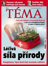 E-magazín TÉMA DNES - 29.05.2026 - MAFRA, a.s.