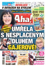 E-magazín AHA! - 01.06.2026 - CZECH NEWS CENTER a. s.
