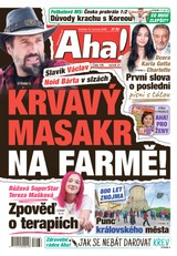 E-magazín AHA! - 13.06.2026 - CZECH NEWS CENTER a. s.