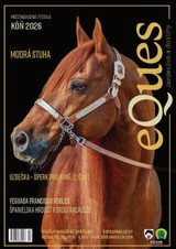 E-magazín Eques júl - Svět Kreativity