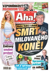 E-magazín AHA! - 15.08.2026 - CZECH NEWS CENTER a. s.