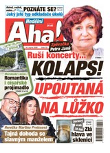 E-magazín NEDĚLNÍ AHA! - 16.08.2026 - CZECH NEWS CENTER a. s.