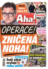 AHA! - 31.08.2026