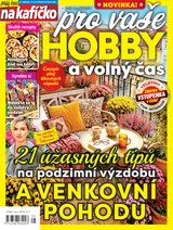 RF Hobby