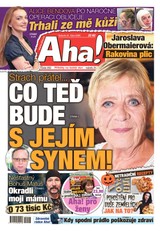 E-magazín AHA! - 31.10.2026 - CZECH NEWS CENTER a. s.