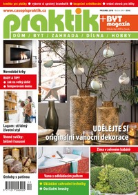 E-magazín PRAKTIK & příloha Byt magazín 12/2018 - Pražská vydavatelská společnost