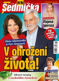 E-magazín Sedmička 19/2017 - EMPRESA MEDIA