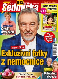 E-magazín Sedmička 31/2017 - EMPRESA MEDIA
