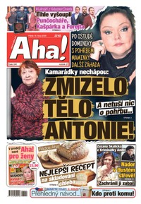 E-magazín AHA! - 16.10.2026 - CZECH NEWS CENTER a. s.