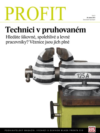 E-magazín Profit 29.4.2013 - Czech Media Invest