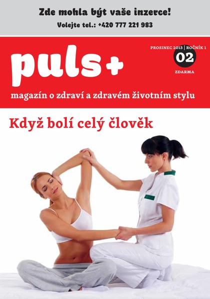 E-magazín Puls 2/2013 - Media Hill, s. r. o.