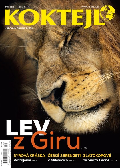 E-magazín Koktejl 9/2015 - Czech Press Group Koktejl