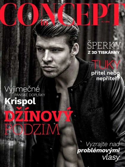 E-magazín INCONCEPT 11/2015 - Branded Works s.r.o.