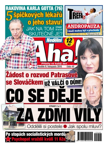 E-magazín Nedělní AHA! - 8.11.2015 - CZECH NEWS CENTER a. s.