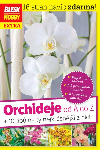 E-magazín Příloha Blesku Hobby - 01/2016 - CZECH NEWS CENTER a. s.