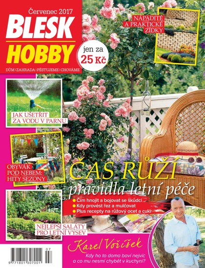 E-magazín Blesk Hobby - 7/2017 - CZECH NEWS CENTER a. s.