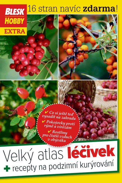 E-magazín Příloha Blesk Hobby - 10/2017 - CZECH NEWS CENTER a. s.